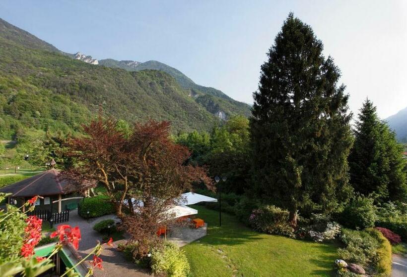 חדר סטנדרט, Aurora