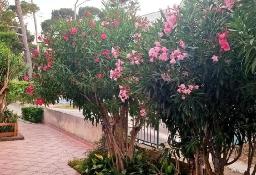 آپارتمان 2 خوابه, Pansion Belvedere