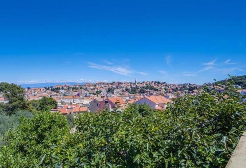 컴포트 룸, Pansion Belvedere