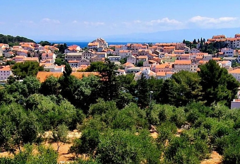 컴포트 룸, Pansion Belvedere