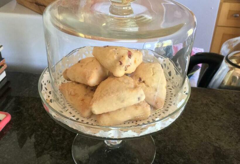 Family Suite, The Rivery Retreat, Choose From Luxury Guesthouse Cabin Or Suite In Lake Austin Hill Country