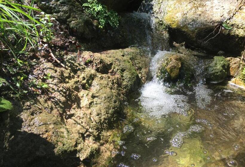 Люкс Вид на Бассейн, The Rivery Retreat, Choose From Luxury Guesthouse Cabin Or Suite In Lake Austin Hill Country