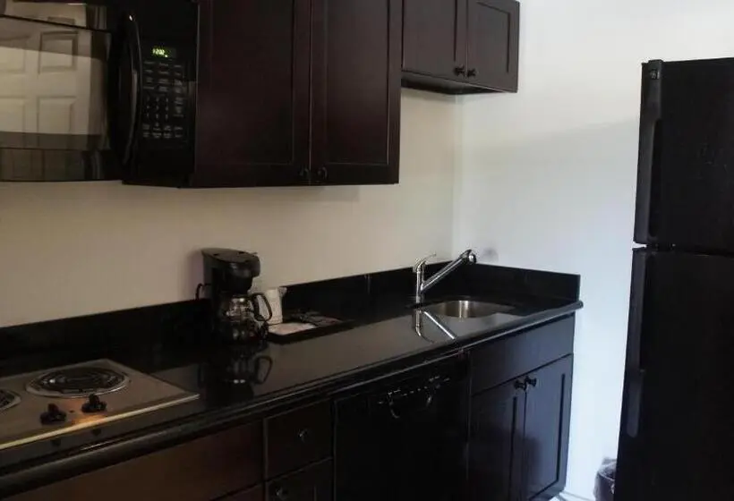 Sviitti King-vuode, Lux Inn And Suites