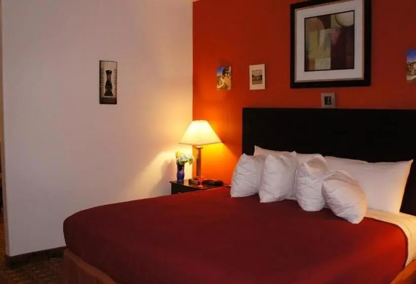 Sviitti King-vuode, Lux Inn And Suites