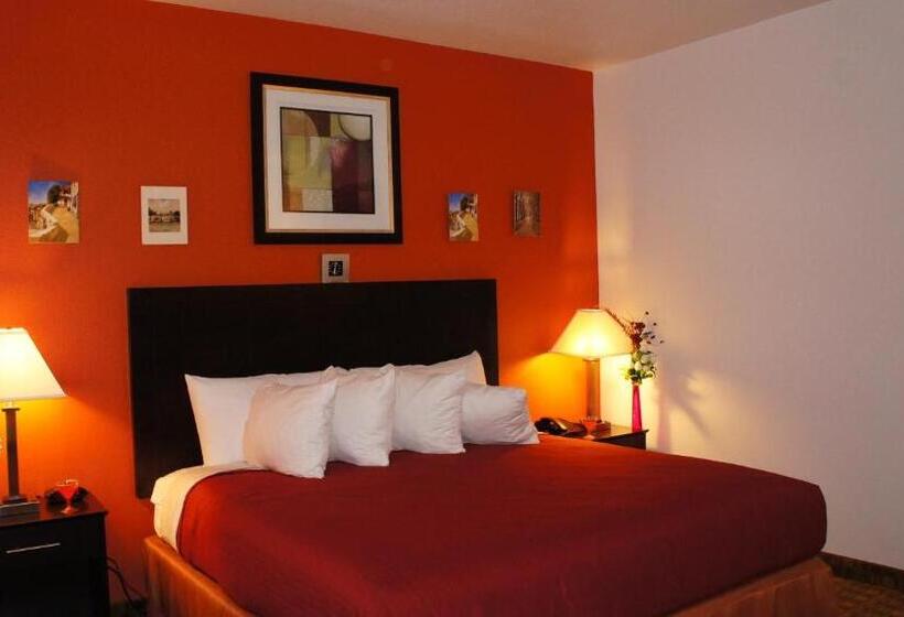 غرفة ديلوكس لذوى الاحتياجات الخاصة, Lux Inn And Suites