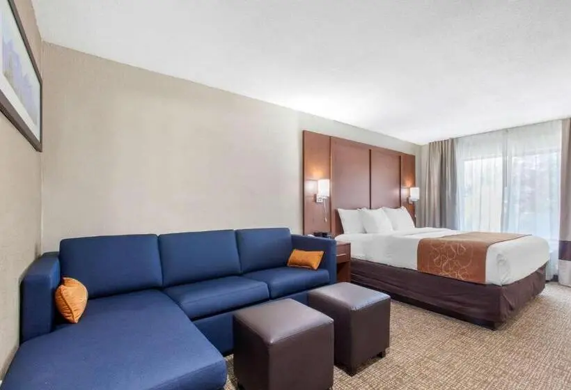 Suite King Bed