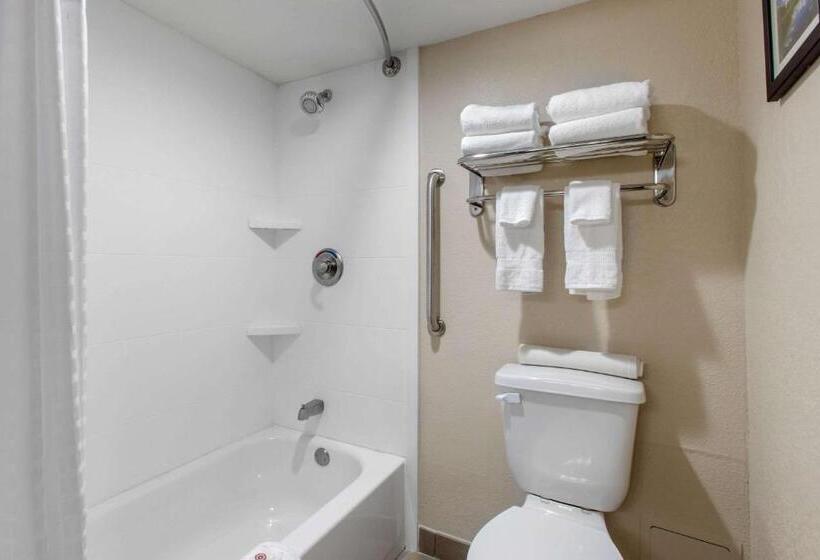 스위트, Comfort Inn & Suites Pinetop Show Low