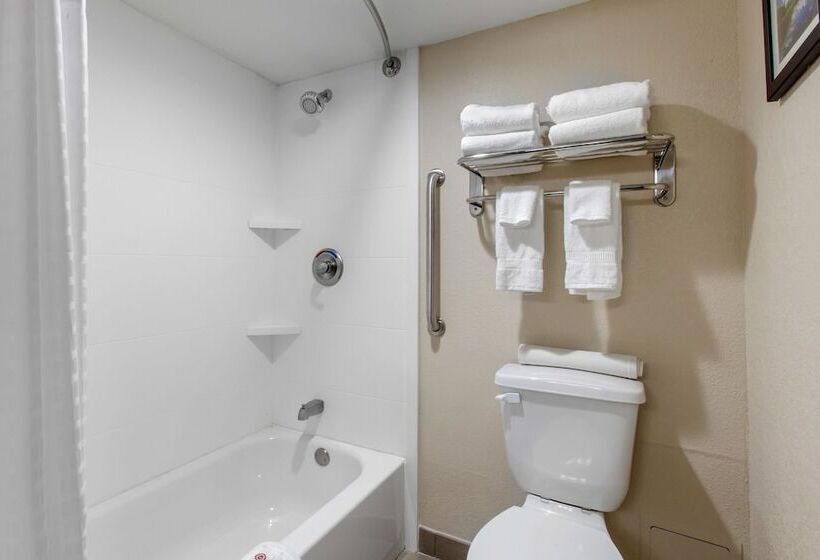 스위트, Comfort Inn & Suites Pinetop Show Low