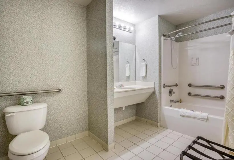 身障者適用スタンダードルーム, OYO Hotel Heber Springs Lakeside