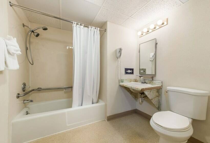 스탠다드 룸, The Wander