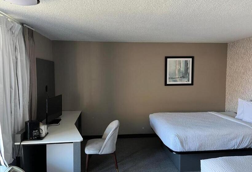 디럭스 룸, The Wander