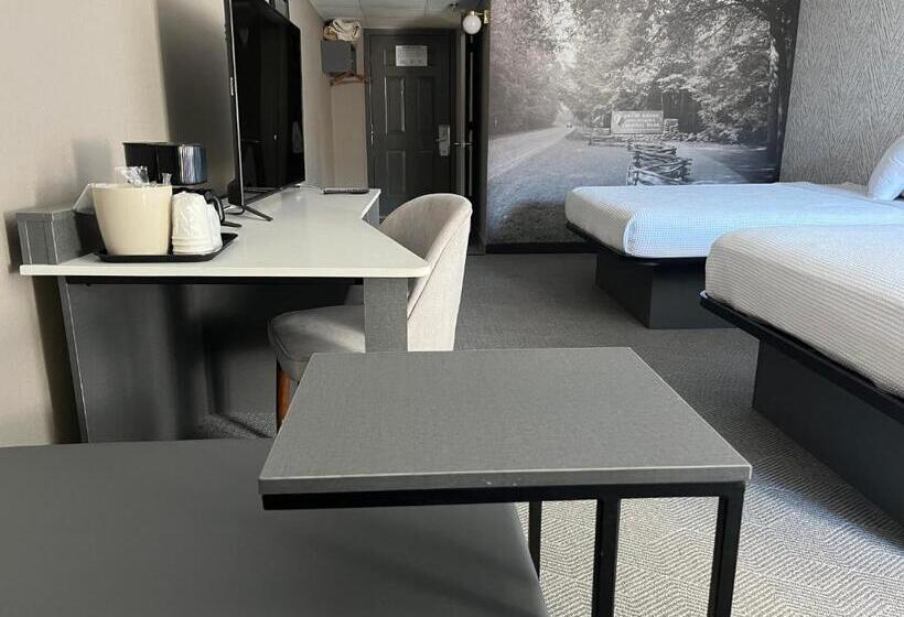 장애인용 디럭스룸, The Wander