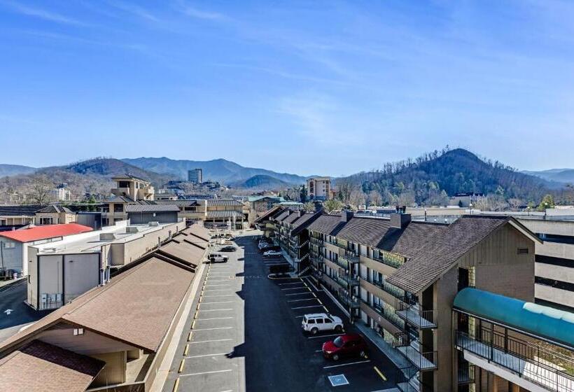 스탠다드 룸 킹사이즈 침대, The Wander