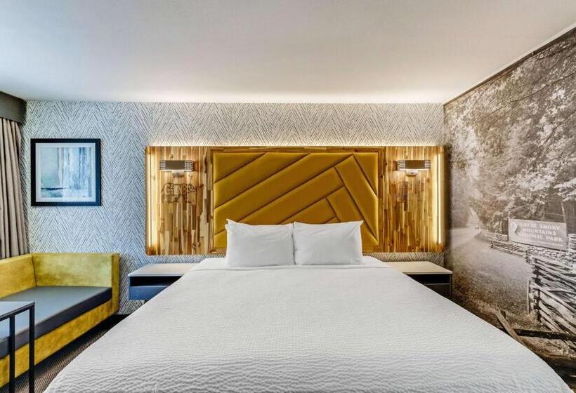 장애인을 위한 킹사이즈 침대 스탠다드 룸, The Wander