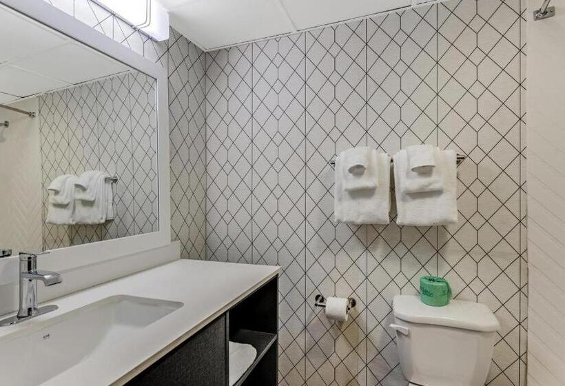 스탠다드 룸, The Wander