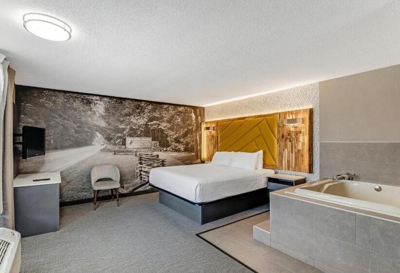 스탠다드 룸, The Wander