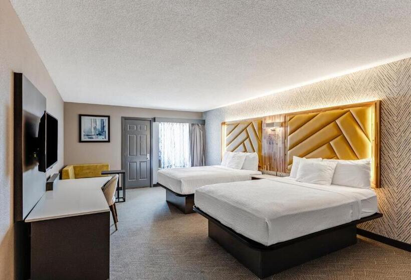 복층 룸 퀸 침대, The Wander