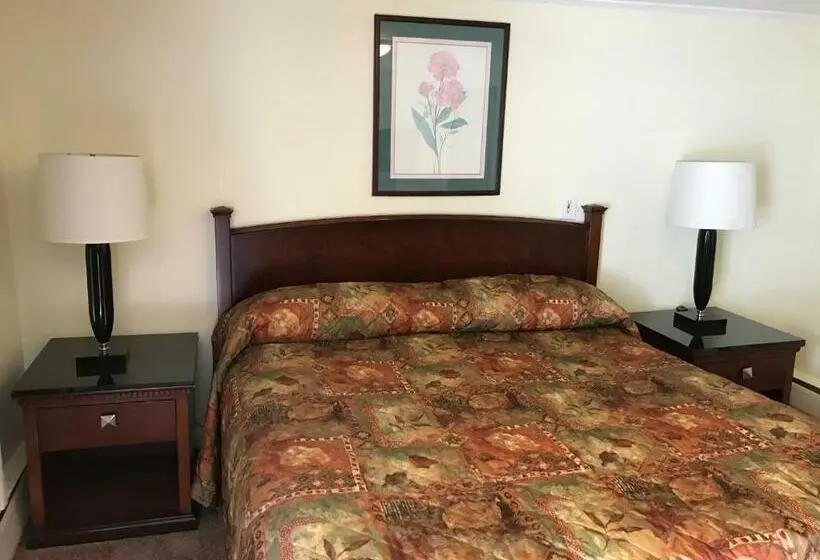 キングサイズベッドのスタンダードルーム, Royal Coach Motor Lodge
