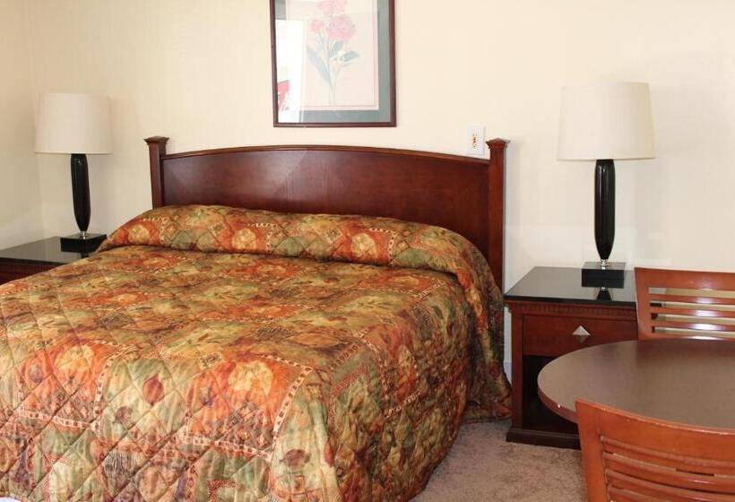 스탠다드 룸 킹사이즈 침대, Royal Coach Motor Lodge