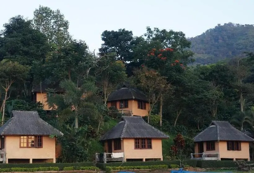 ベーシックルーム, Leehu Coffee Farm