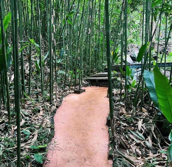 Номер Стандарт с Террасой, Leehu Coffee Farm
