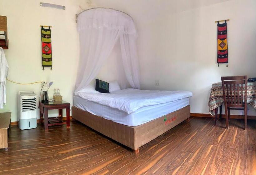 اتاق اکونومی, La Rosa House