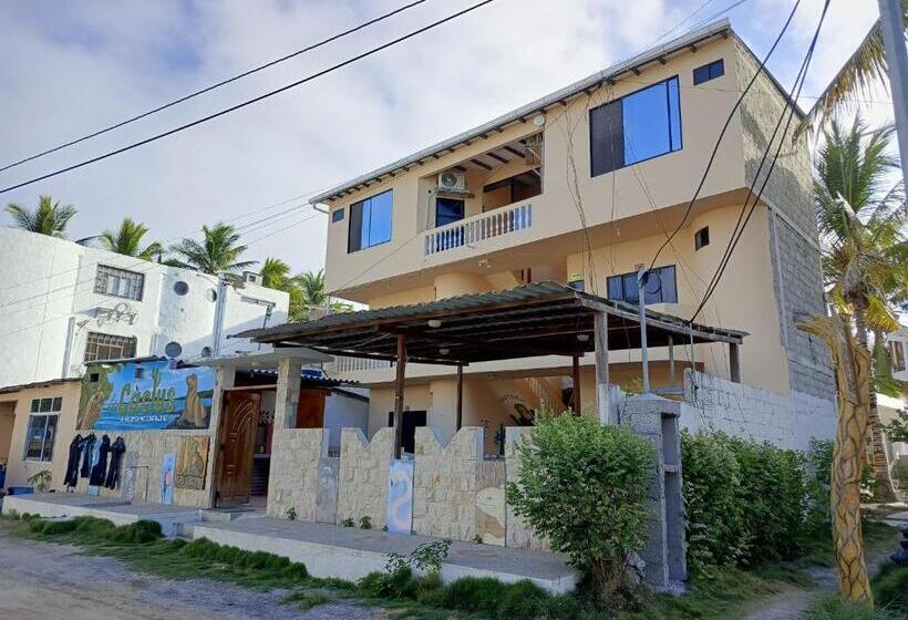 Номер Стандарт с Балконом, Hostal Los Cactus