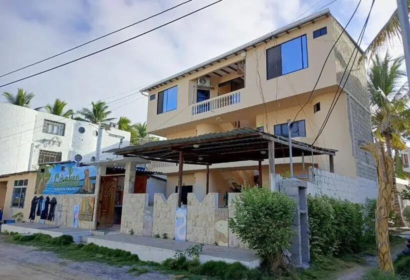 اتاق استاندارد با بالکن, Hostal Los Cactus