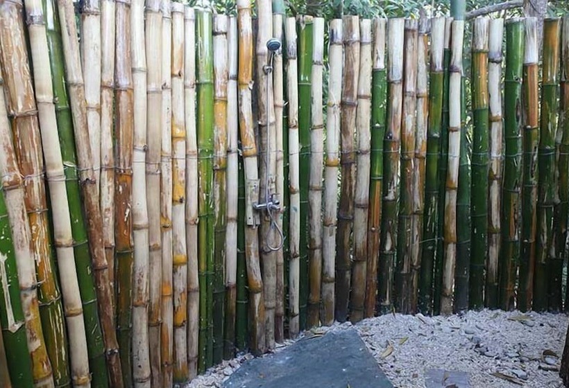 بانگلوی استاندارد, Helpa Eco Cabins