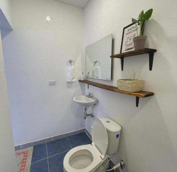 اتاق استاندارد, Aptos Villamar Palomino