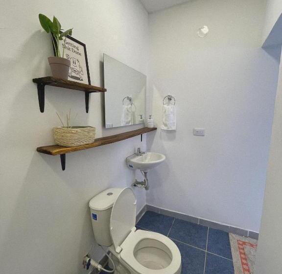 اتاق استاندارد, Aptos Villamar Palomino