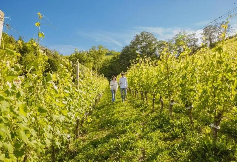 テラス付スイート, Garesio Wine Resort