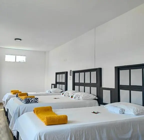 ファミリールーム, Safaris Versalles