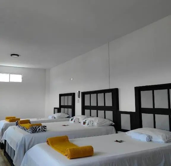 ファミリールーム, Safaris Versalles