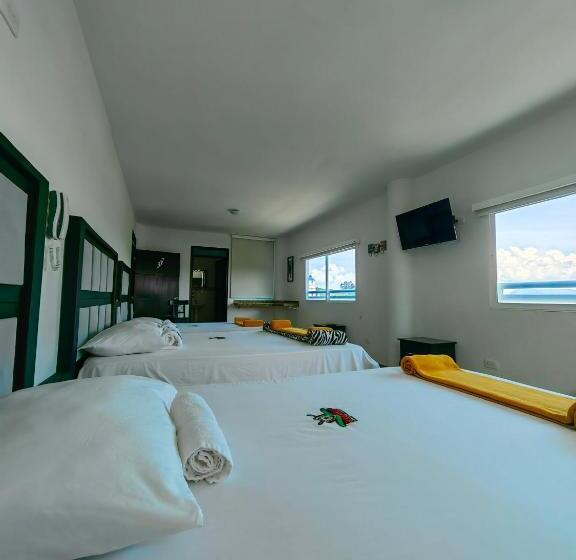 Семейный Номер, Safaris Versalles