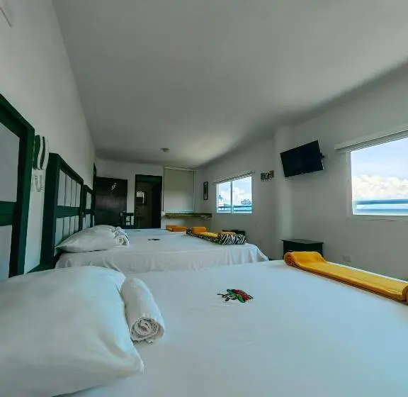 ファミリールーム, Safaris Versalles
