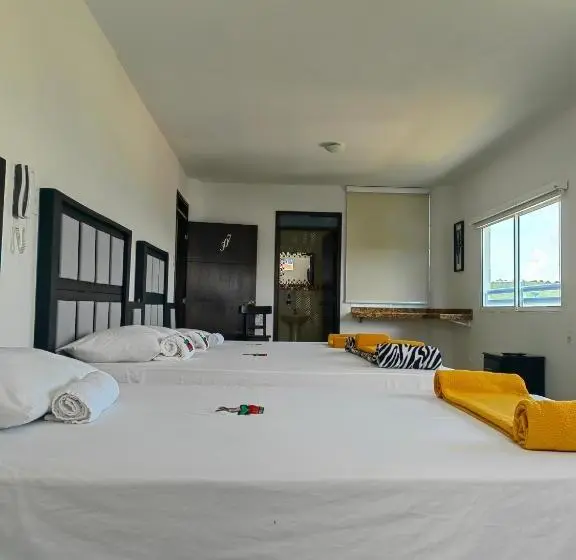 ファミリールーム, Safaris Versalles