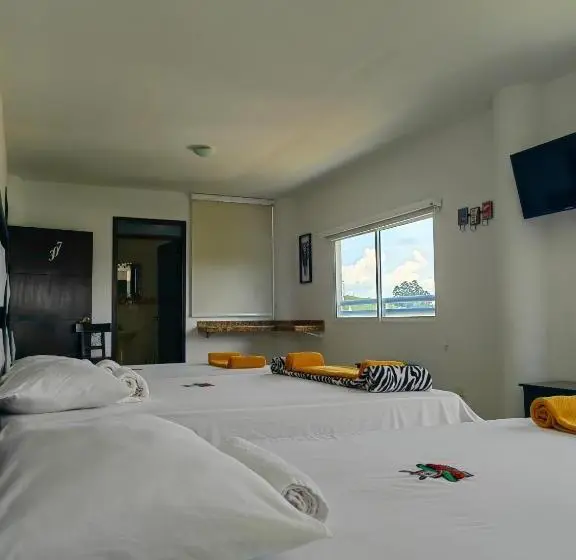 ファミリールーム, Safaris Versalles