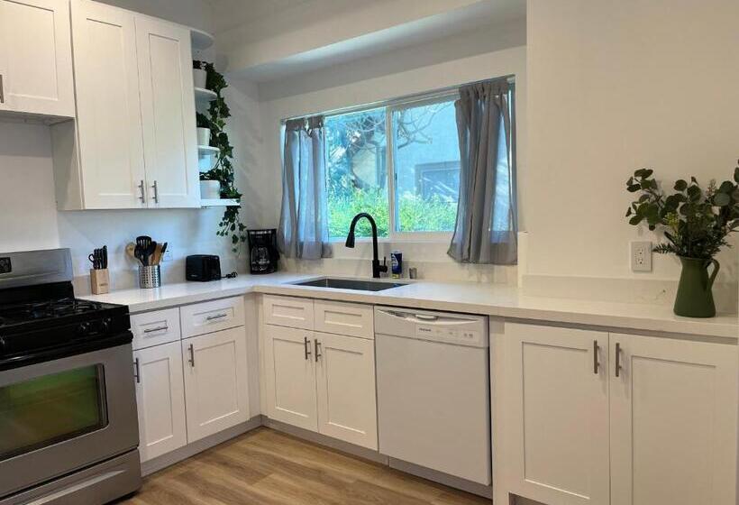 اتاق لوکس, Echo Zen Hostel