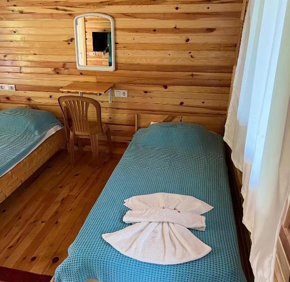 اتاق استاندارد سه نفره, Asmalı Köşk Pansiyon