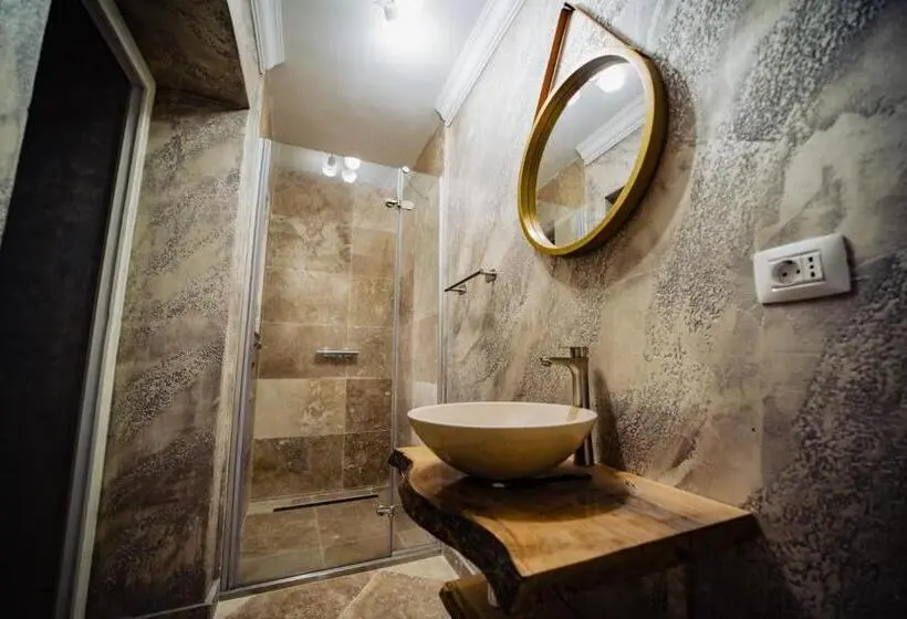 Standard-huone, Pensiunea Casa Sofia