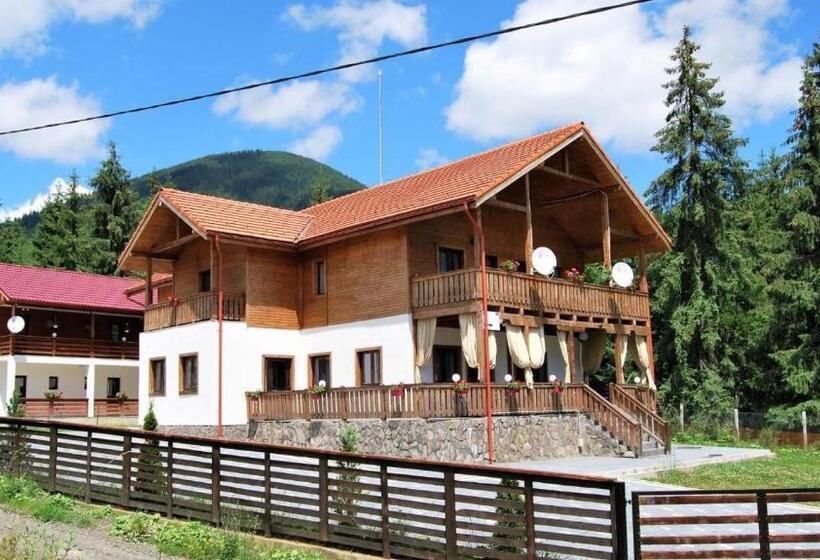 带大床的标准间, Pensiunea Diana