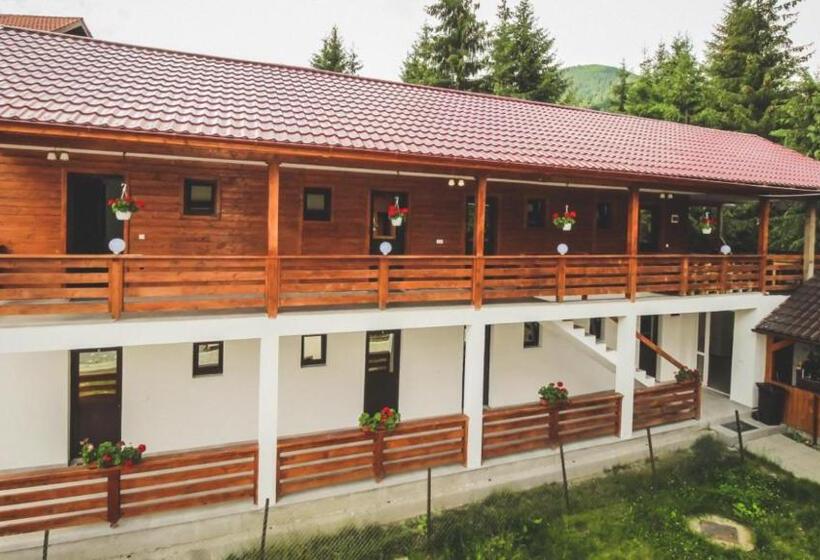 带大床的标准间, Pensiunea Diana