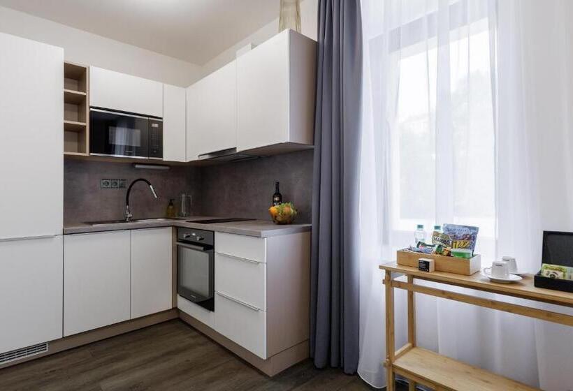 豪华工作室, River Apartments