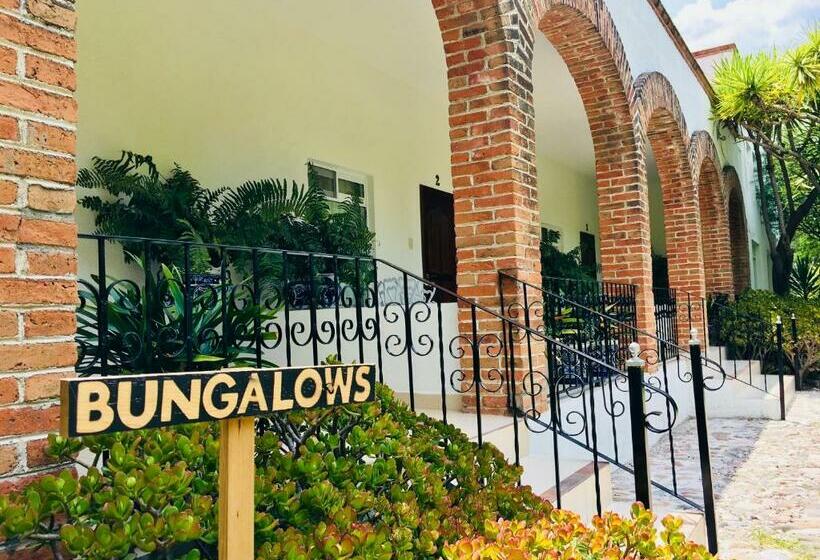 بنجلو قياسى مطلّ علي الحديقة, Club Vergel Resort