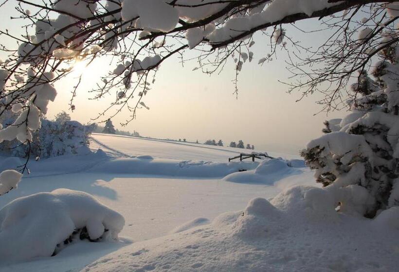 Номер Стандарт, Und Restaurant Wolfensberg