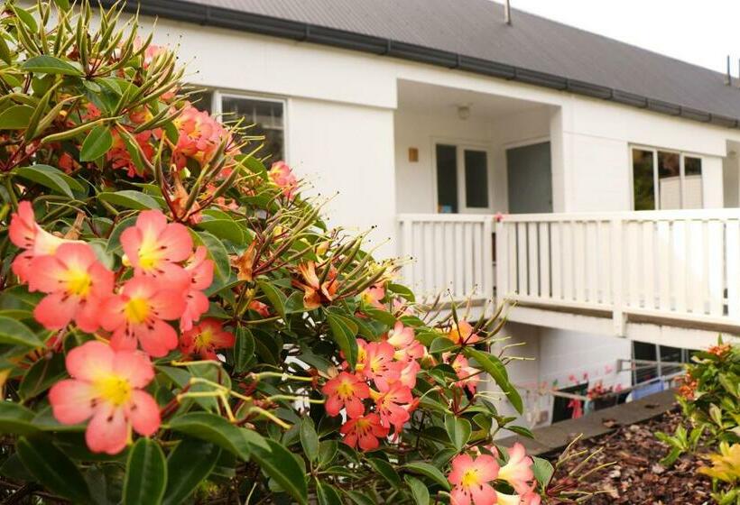 带1个卧室的公寓, Al Louise Accommodation