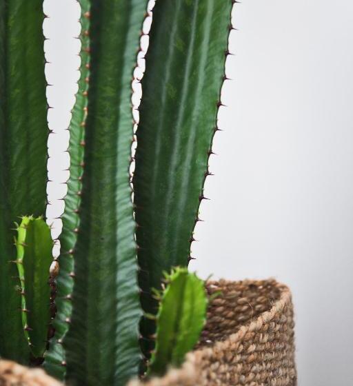 חדר משפחתי, Salotto Brè Bed & Breakfast Charming Rooms