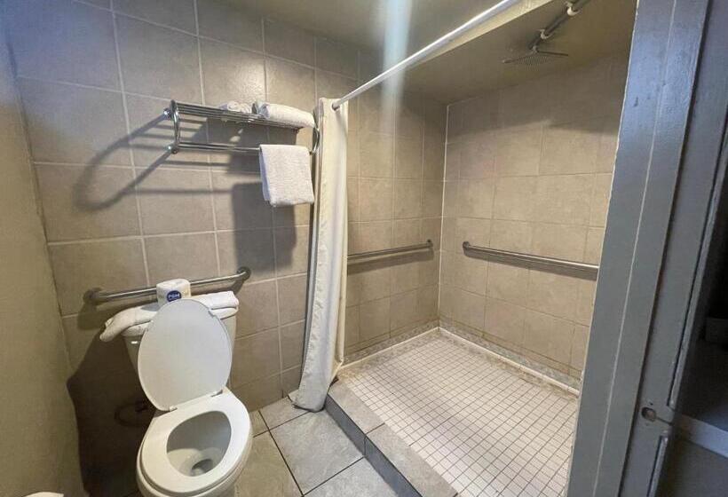 Pokój Typu Standard Łóżko King Przystosowany dla Osób Niepełnosprawnych, The Inn On 66