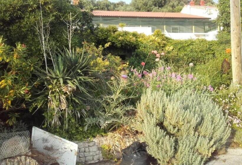 스탠다드 발코니 룸, Guest House Green Corner Supetarska Draga